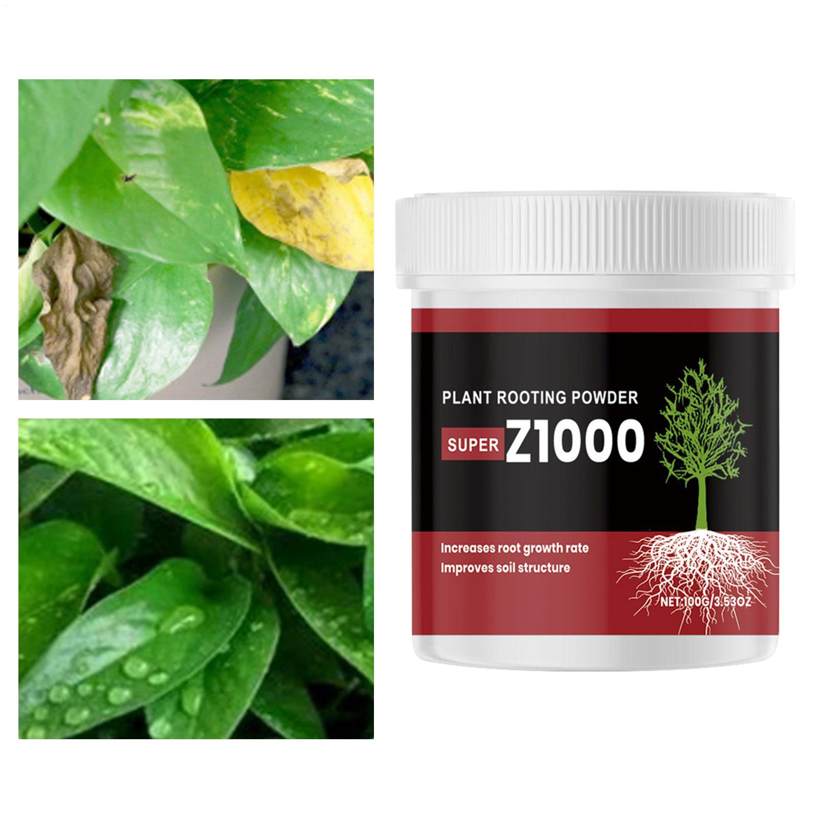 Rooting Ho Rmone Powder For Pl - Root Stimulator Liquid recension och pris