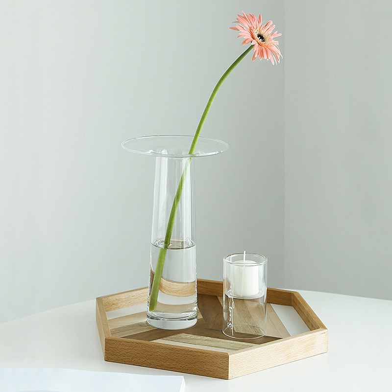 LIVETAI Transparent T-Shape Hy - Propagation Station Vase recension och pris