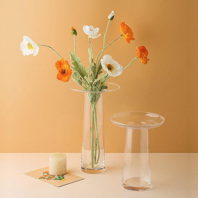LIVETAI Transparent T-Shape Hy - Propagation Station Vase recension och pris