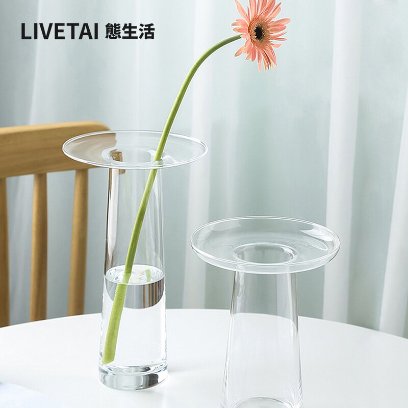 LIVETAI Transparent T-Shape Hy - Propagation Station Vase recension och pris
