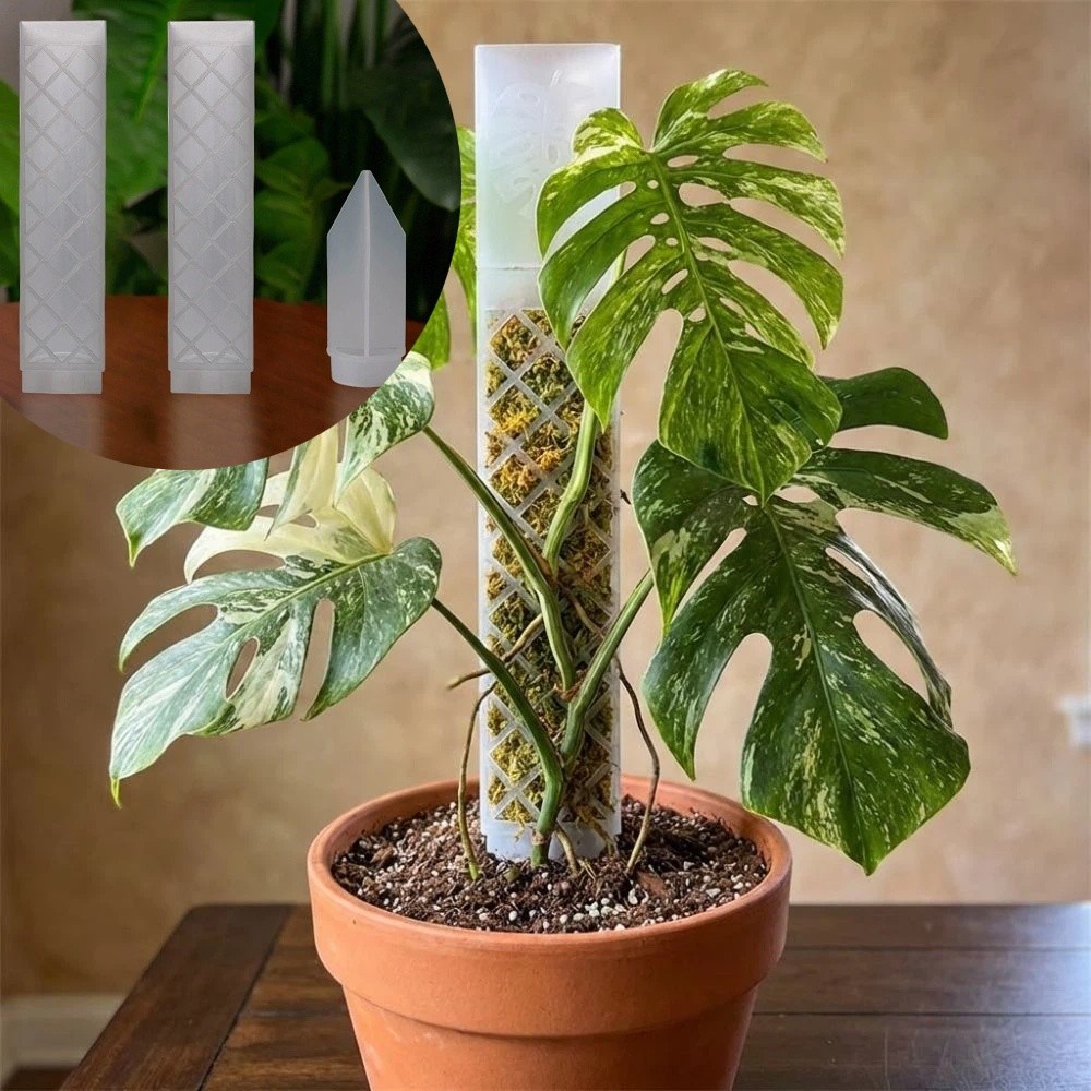 D-Shaped Self-Watering Plant D - Sphagnum Moss Dry recension och pris