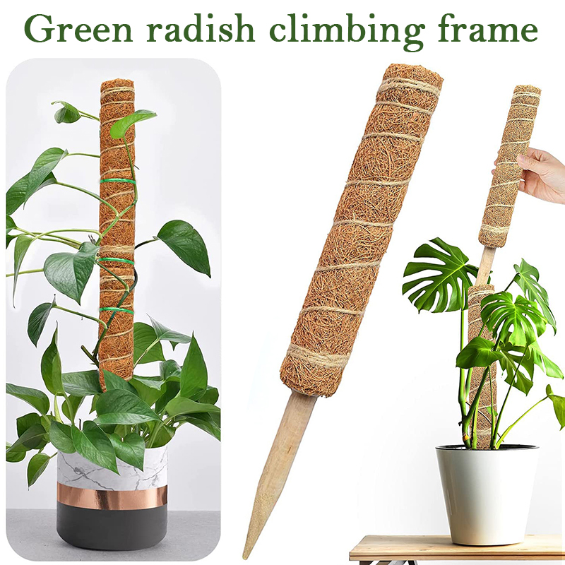 30/40/50cm Plant Climbing Coir - Sphagnum Moss Dry recension och pris