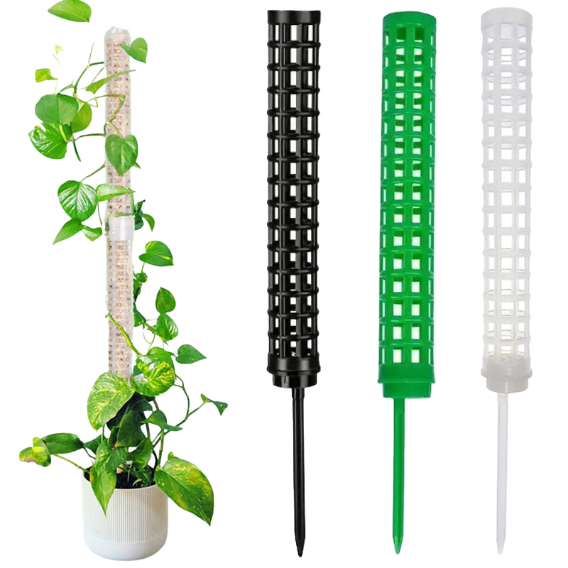 Plant Climbing Column Sphagnum - Sphagnum Moss Dry recension och pris