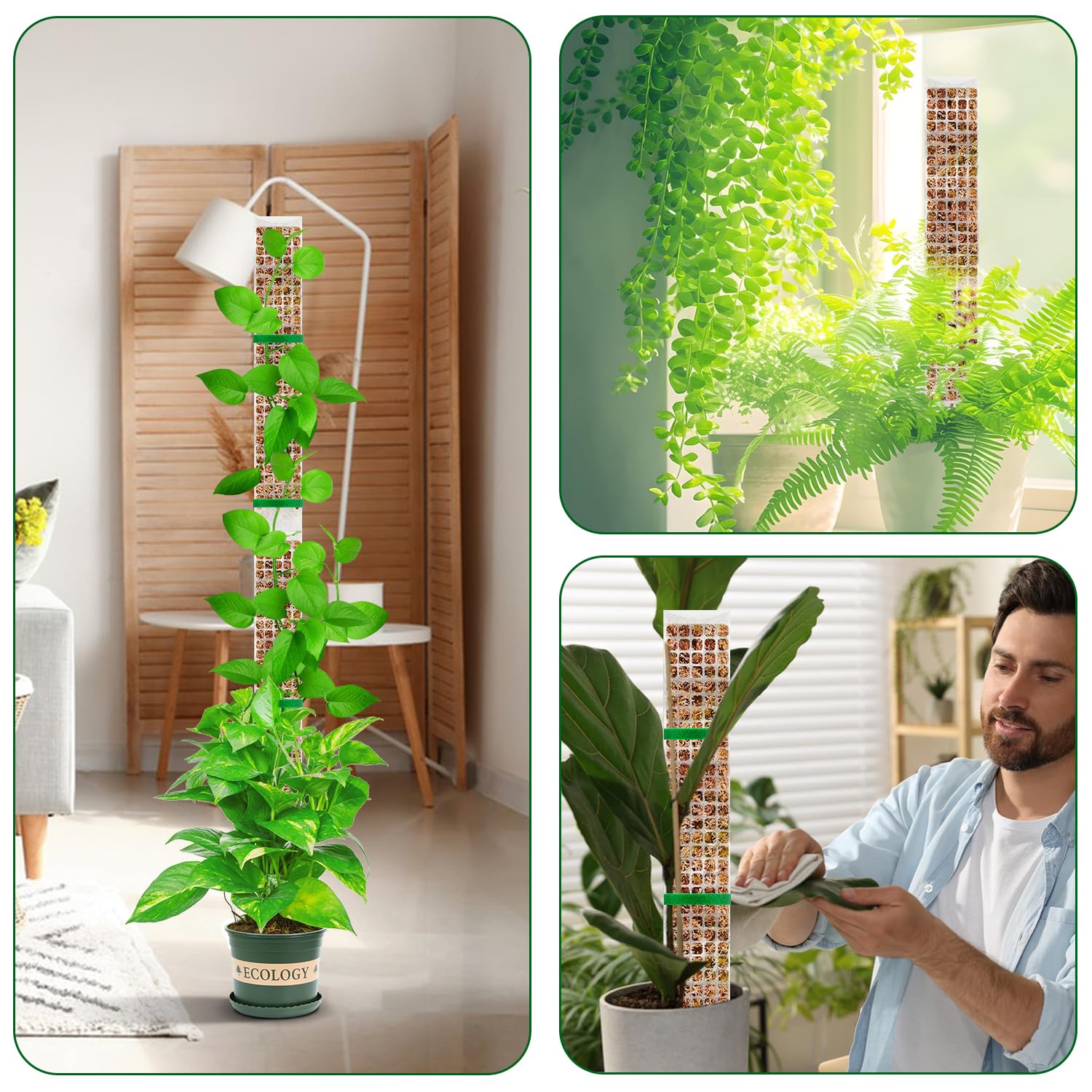 Plants Moss Pole Garden Subjec - Sphagnum Moss Dry recension och pris